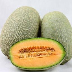 吃哈密瓜多好,尽享甜蜜滋味，探寻健康生活之道