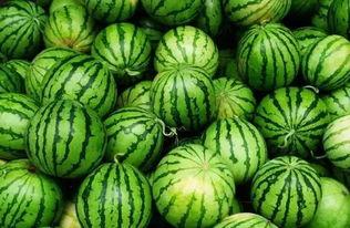 黄吃瓜群,揭秘网络社交背后的八卦风云