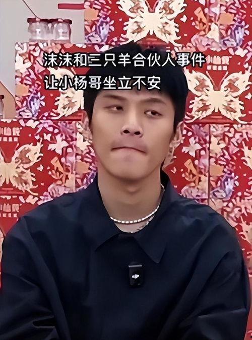 吃瓜事件小杨哥