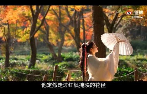 吃瓜视频大全粉色