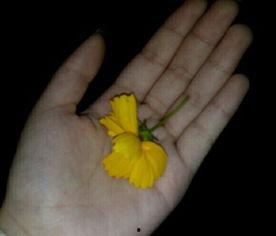 吃瓜视频大全粉色