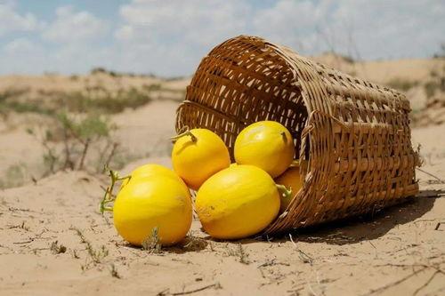 美团疯狂吃瓜,揭秘美食界的“瓜田”风云