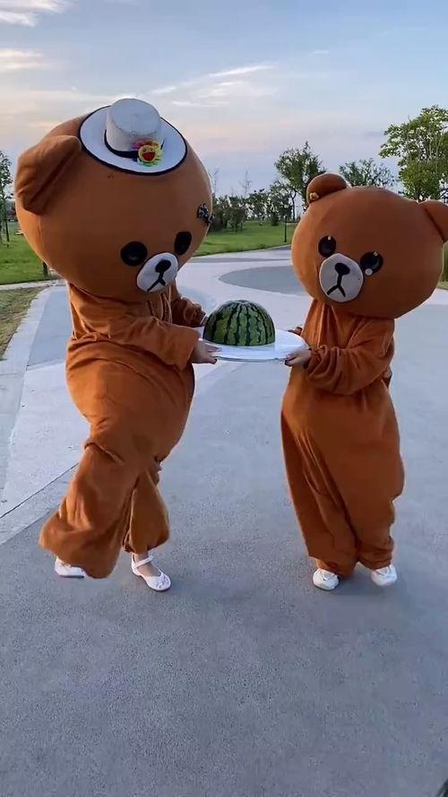 吃瓜小熊荷兰,一场趣味横生的荷兰之旅