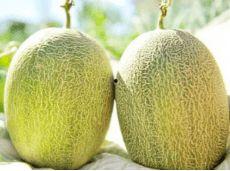 凉爽在剧里吃瓜,揭秘娱乐圈幕后风云