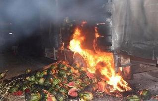 吃瓜真相森林大火,揭秘森林大火背后的真相与反思