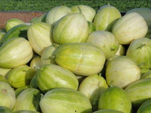 怎样吃最甜的瓜,揭秘如何挑选最甜的瓜果