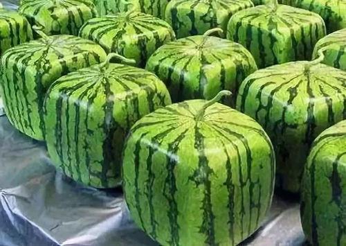 吃瓜词的来源,从“吃瓜”一词起源看网络流行语的演变与传播