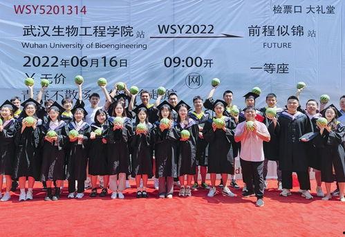 典礼吃瓜现场,揭秘幕后花絮与趣味瞬间