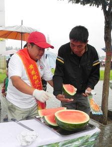 典礼吃瓜现场,揭秘幕后花絮与趣味瞬间