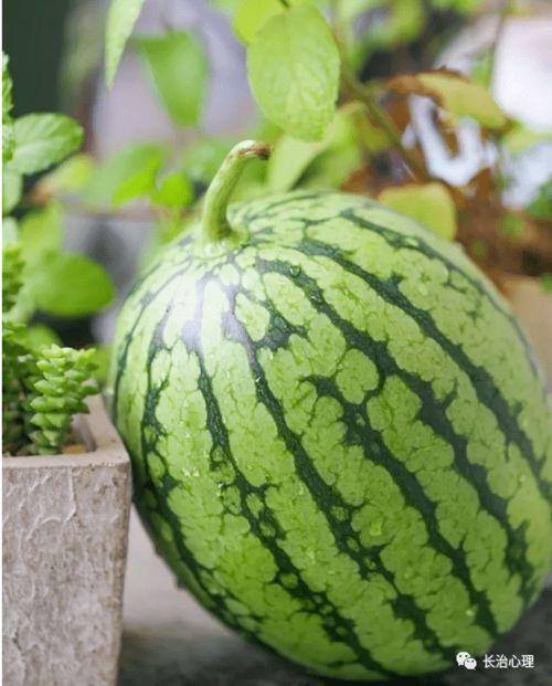 浅心吃瓜,揭秘娱乐圈那些不为人知的幕后故事