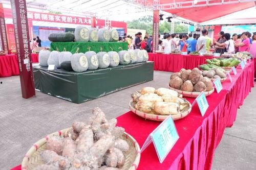 蒌瓜怎么吃,探索健康美味的烹饪之道