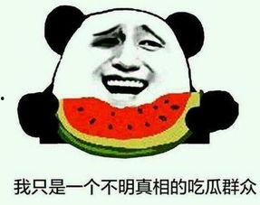 搜狗吃瓜网站,揭秘娱乐圈最新热点，带你领略明星幕后故事