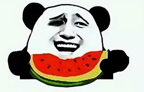 吃瓜给红包,共享快乐，传递温暖