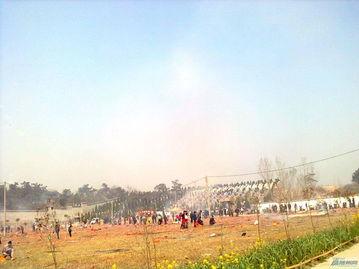 吃瓜公墓盖庙,古墓盖庙，历史与文化的奇妙融合