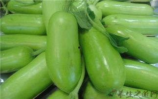 吃蒲瓜有什么益处,天然绿色，健康生活新选择