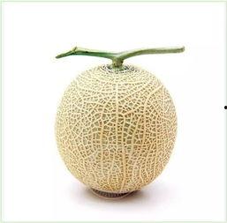 吃瓜这样才过瘾,这样才过瘾的瓜界秘闻