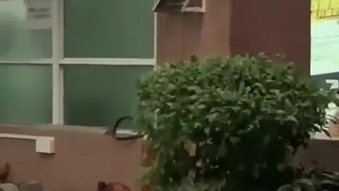 辽宁吃瓜新闻事件,揭秘网络谣言背后的真相与反思