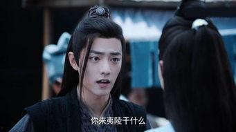 蓝湛吃瓜吗,瓜田里的神秘食客