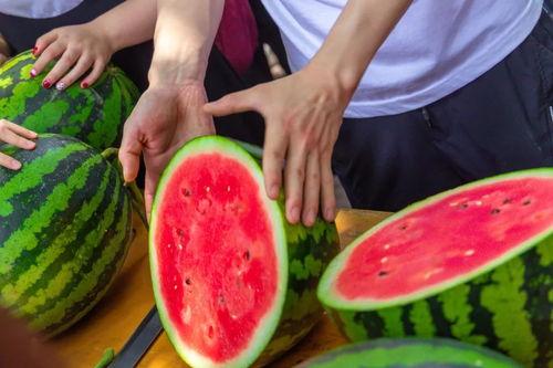 广西演艺学校吃瓜,揭秘校园里的“吃瓜”风云