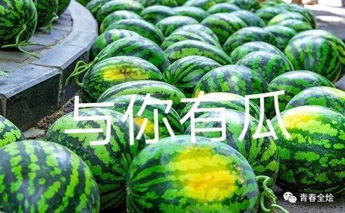 广西演艺学校吃瓜,揭秘校园里的“吃瓜”风云