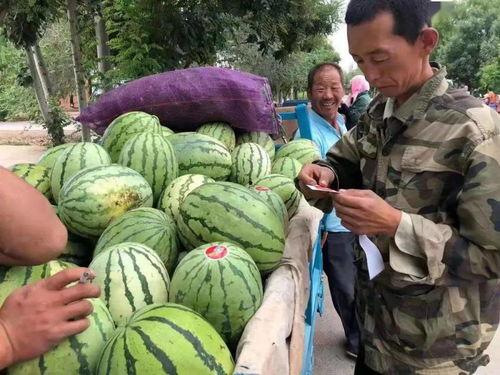 安新双隆吃瓜,揭秘背后真相与网络舆论风暴