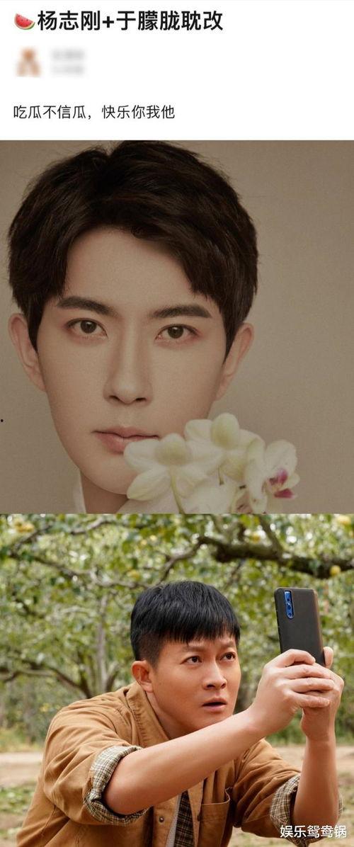 杨志刚吃瓜,揭秘娱乐圈幕后故事