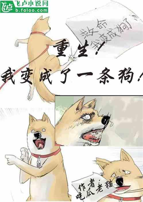 睡觉不如吃瓜 小说,揭秘睡觉不如吃瓜的奇幻世界