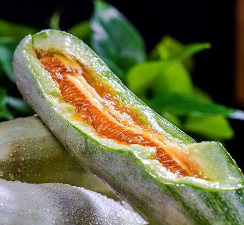 吃头茬瓜,初夏时节的田园盛宴