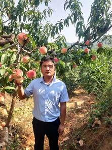 肥城红旗吃瓜,吃瓜群众的夏日狂欢