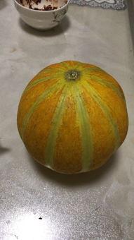 瓜孕妇可以吃吗,孕期孕妇适宜食用的瓜类水果指南