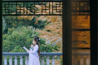 吃瓜惊鸿照影,揭秘娱乐圈幕后风云