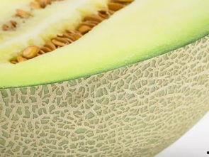 瓤瓜干怎么吃,解锁美味新境界