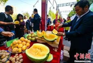 安阳吃瓜新闻事件最新,揭秘网络谣言背后的真相与反思