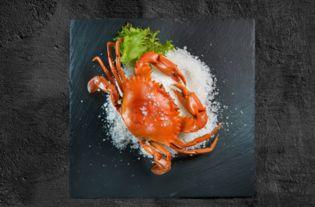 螃蟹吃瓜的视频,瓜果盛宴大揭秘