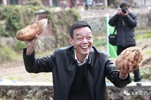 文化吃瓜后续剧情,揭秘娱乐圈背后的权力游戏与情感纠葛