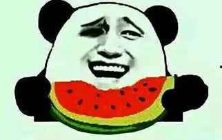 一秒吃瓜,揭秘娱乐圈最新动态