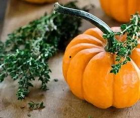 角瓜不熟吃伤胃