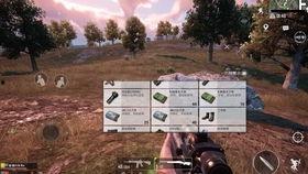 吃鸡up主瓜,吃鸡UP主瓜的精彩瞬间