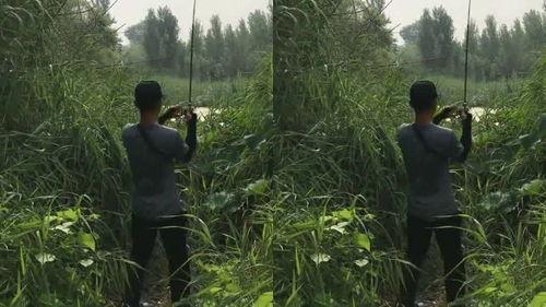 吃瓜群众小木桥