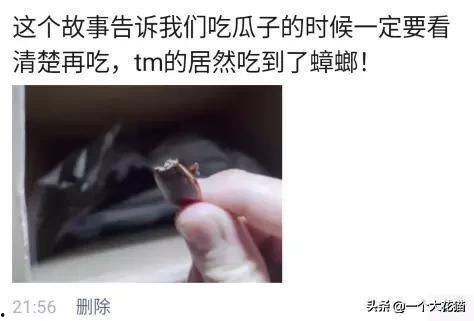 吃瓜大蟑螂,揭秘娱乐圈背后的秘密与真相