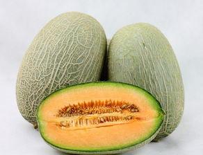 隔夜开的哈密瓜可以吃不,安全食用指南与保存技巧” 第3张 隔夜开的哈密瓜可以吃不,安全食用指南与保存技巧” 第3张