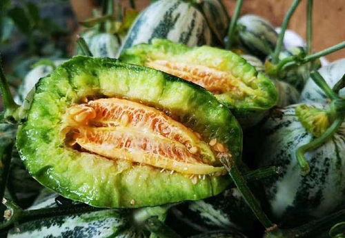 洋迪吃瓜不信瓜  第3张