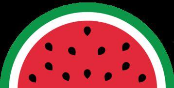 吃瓜不打咩,网络流行语的魅力与影响  第3张