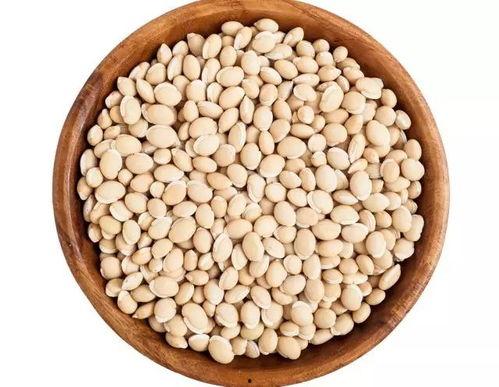 吃瓜泡凉水,吃瓜泡凉水，清凉一夏！  第3张