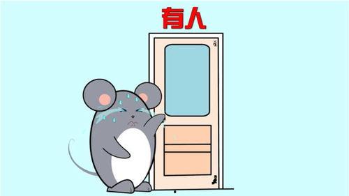 笨笨吃瓜本人  第3张