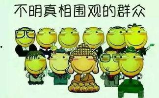 吃瓜发财,揭秘吃瓜致富的秘密法则  第2张