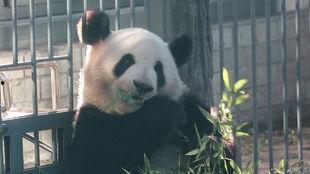 么么儿吃瓜,揭秘娱乐圈那些不为人知的幕后故事