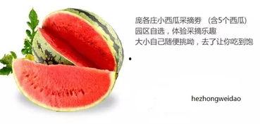 繁星中吃瓜是什么,揭秘“吃瓜”背后的文化现象  第3张