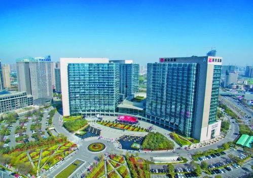 西安高新区吃瓜,瓜果飘香，美食地图探秘