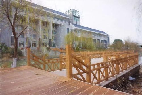 小桥吃瓜娱乐  第3张